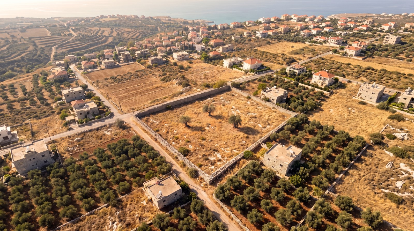 Demo plot today: an empty walled field of dry grass and olive trees above the sea